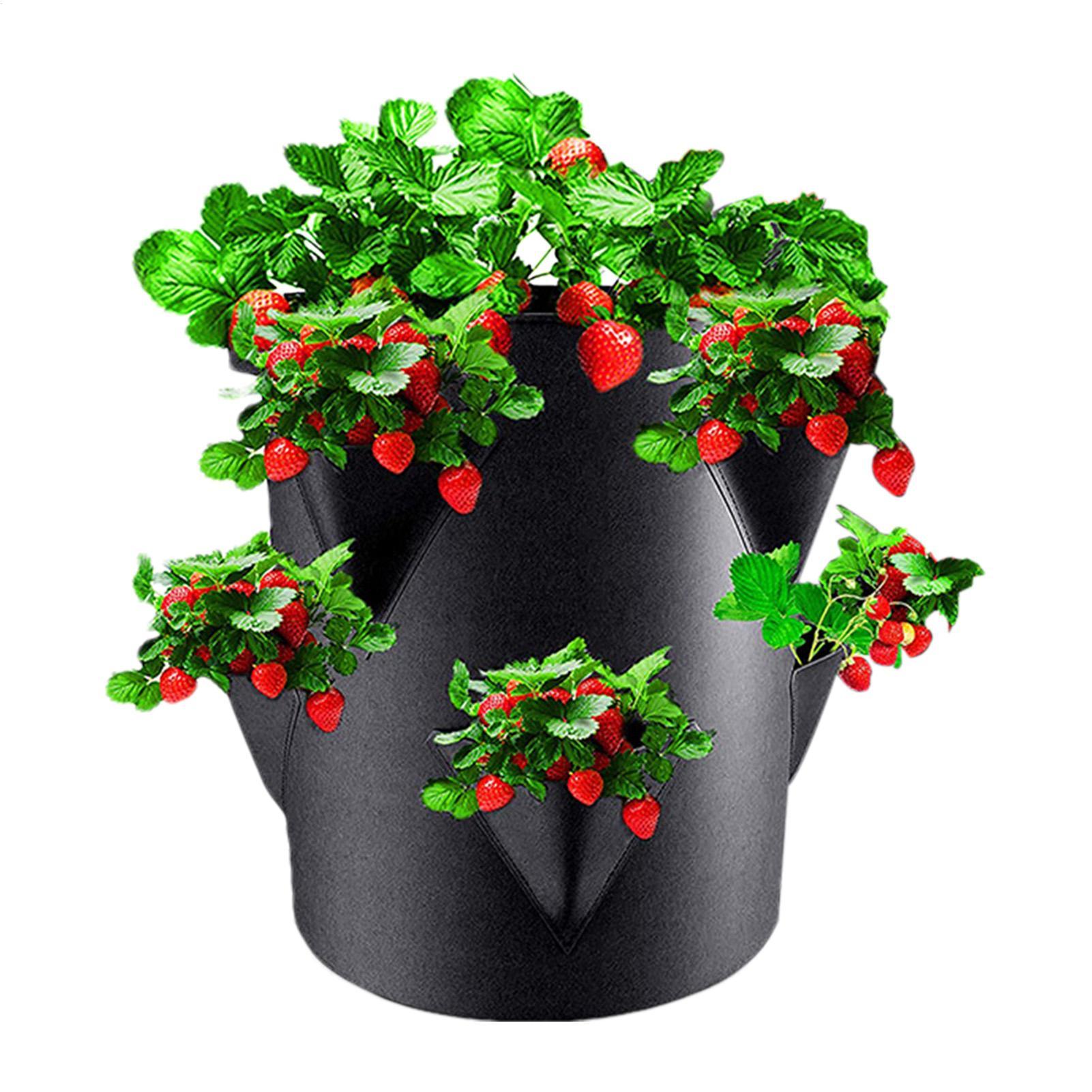 Kantong Tanam Stroberi 7 Galon - Vertical Planter Tower ulasan dan harga