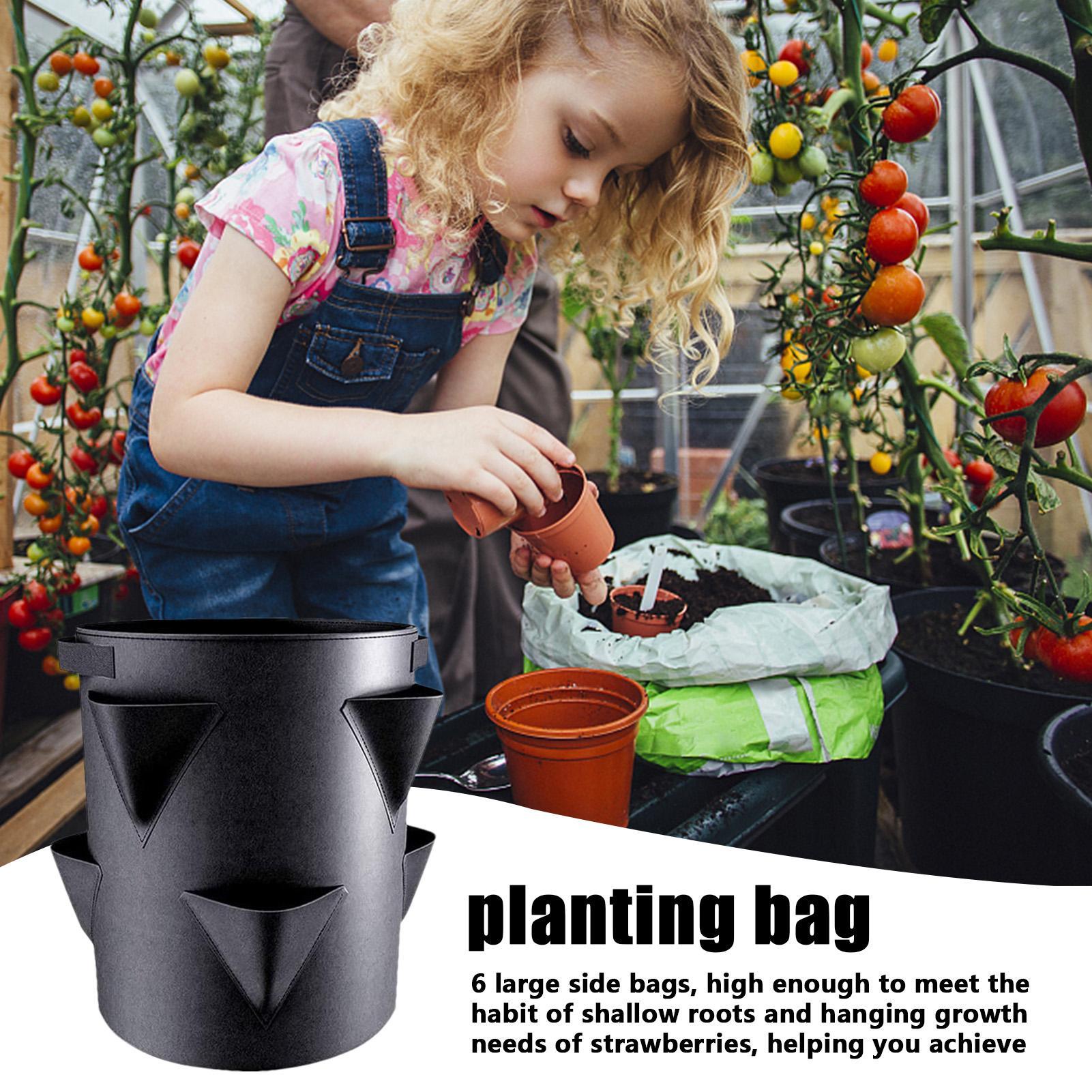 Kantong Tanam Stroberi 7 Galon - Vertical Planter Tower ulasan dan harga