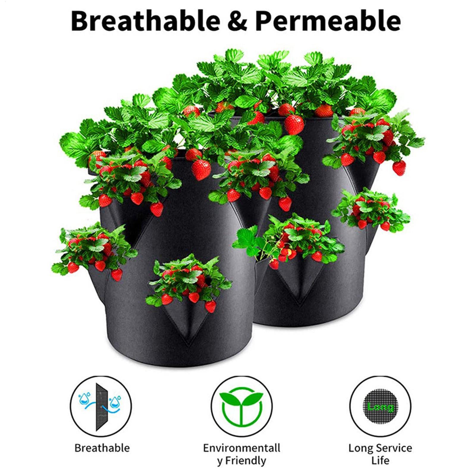 Kantong Tanam Stroberi 7 Galon - Vertical Planter Tower ulasan dan harga