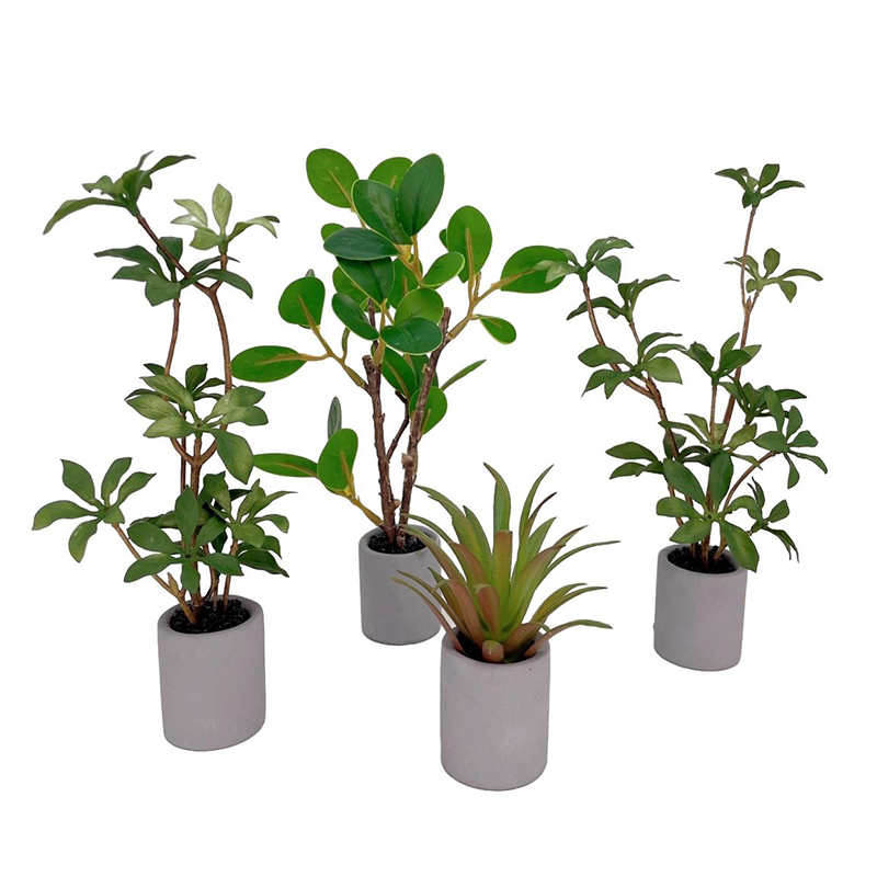 1:6 miniatur rumah boneka Pot  - Smart Garden Mini ulasan dan harga