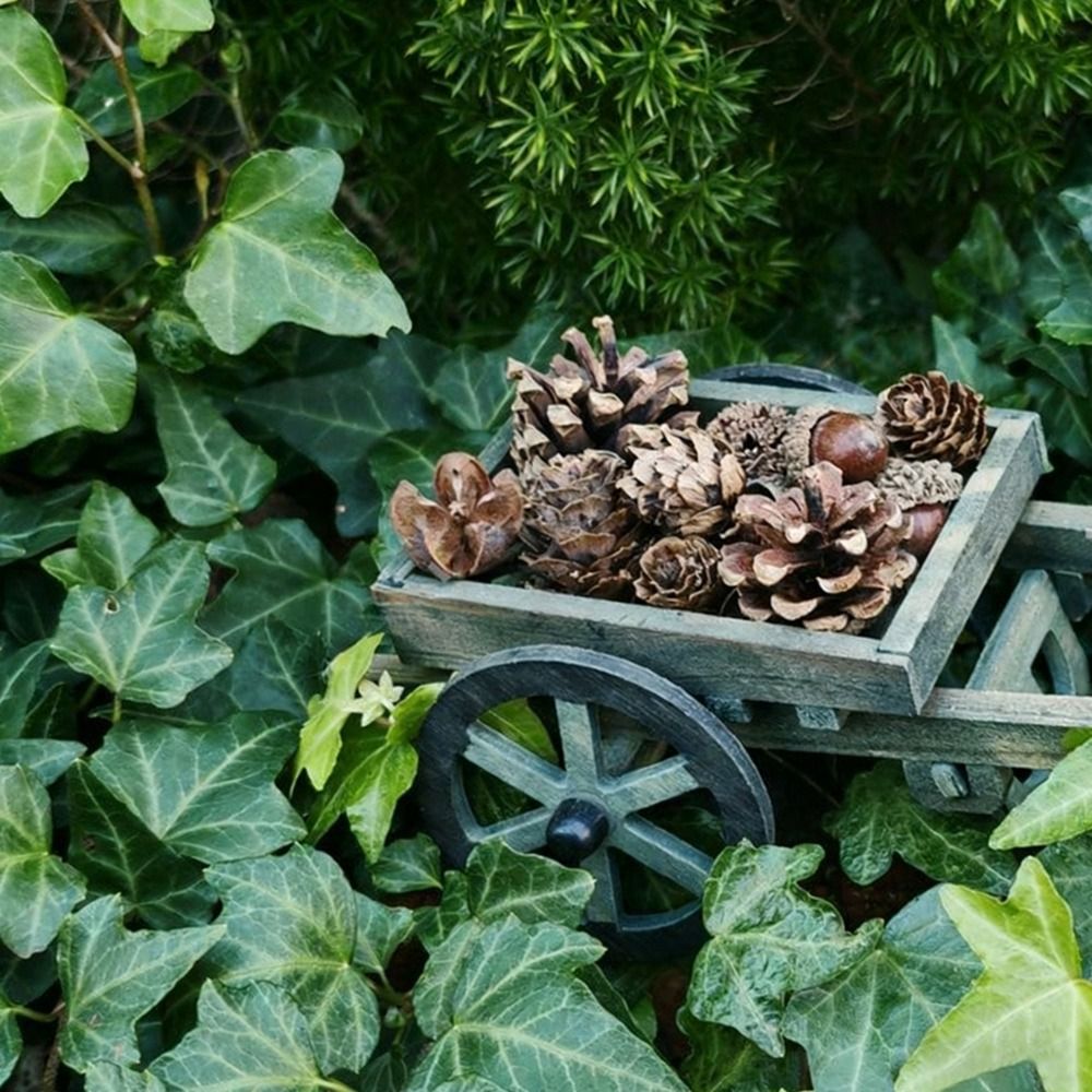 Kayu Bakar Miniatur Skala 1:12 - Smart Garden Mini ulasan dan harga
